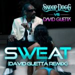 Snoop Dogg vs. David Guetta - Sweat (David Guetta Remix)