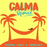 Pedro Capó y Farruko - Calma (Remix)