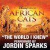 Jordin Sparks - The World I Knew