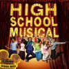High School Musical - What I've been looking for